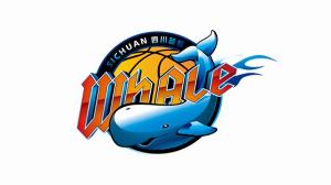 开云体育-中国篮协公告：四川男篮未履行国际篮联裁决 禁止其注册新球员